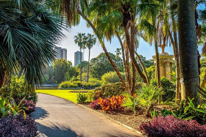 Sydney Walking Tour with Audioguide on Your Smartphone - The Sum Up