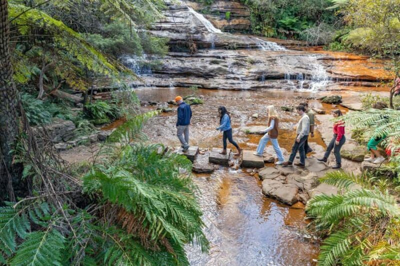 Sydney: Waterfall Bushwalk and Blue Mountain Sunset Day Trip - A Detailed Look at the Tour Experience