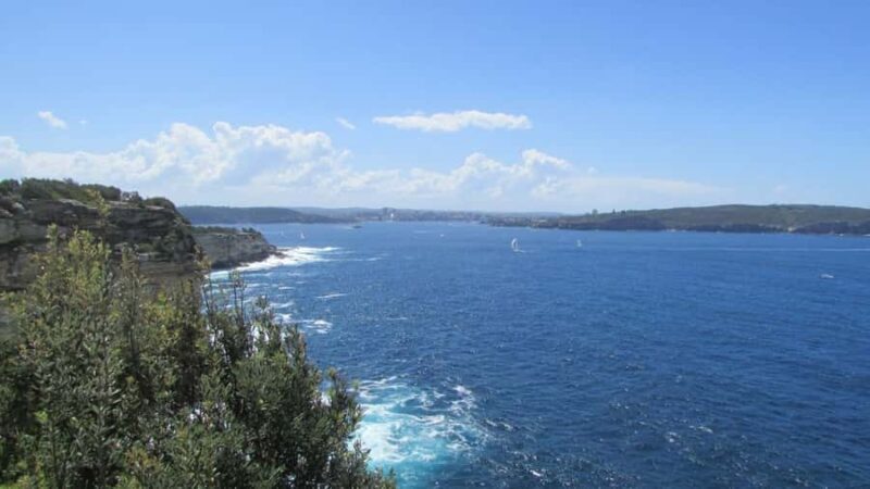 Sydney: Watsons Bay Walking Tour - Practical Details and Value