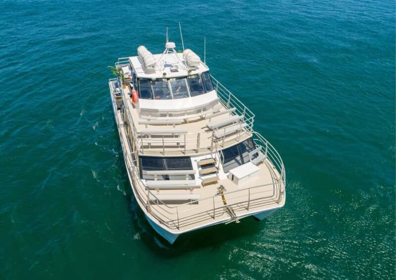 Sydney: Whale Watching Adventure Cruise - The Experience: Emotions and Authenticity
