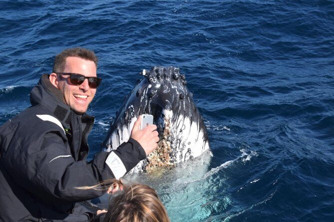 Sydney Whale-Watching by Speed Boat - FAQ