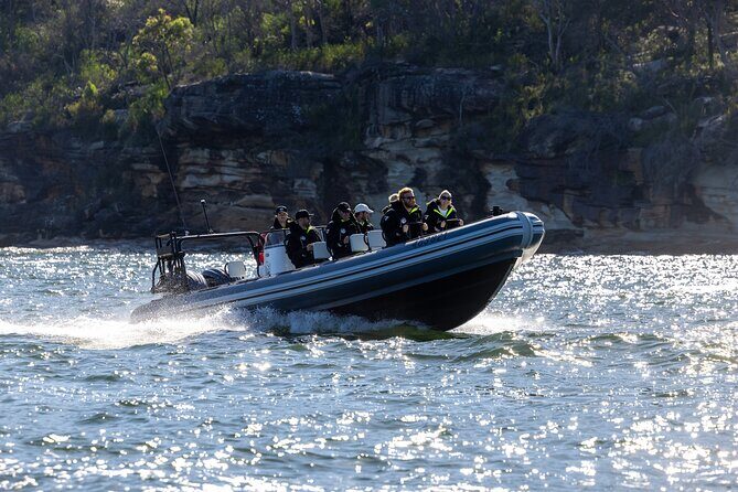 Sydney Whale Watching on Small RIB - Why This Tour Is a Great Value