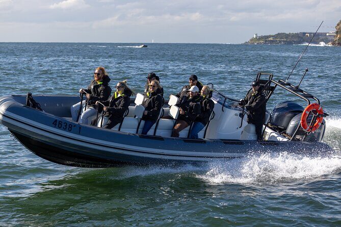 Sydney Whale Watching on Small RIB - Practical Details That Matter