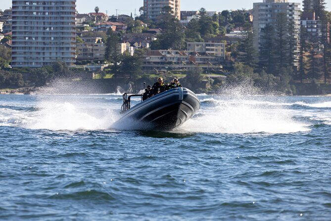 Sydney Whale Watching on Small RIB - Final Thoughts