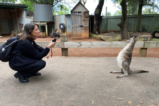 Sydney Wild Kangaroos and a Cruise: A Private Wildlife Adventure - Final Summary