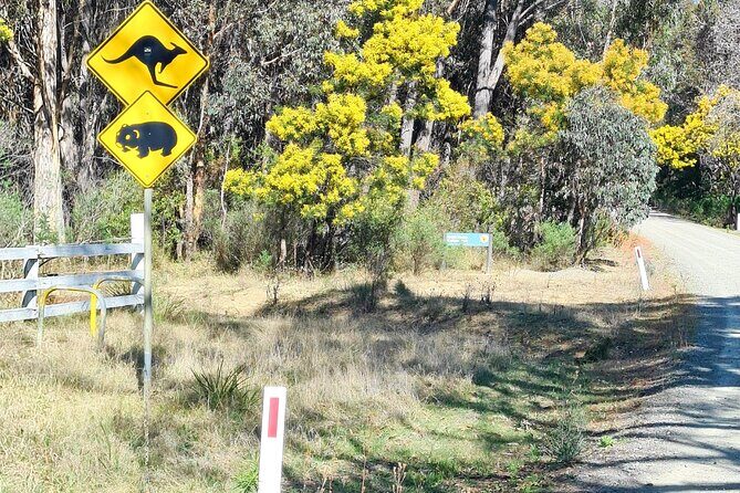 Sydney Wildlife Safari - The Itinerary Breakdown