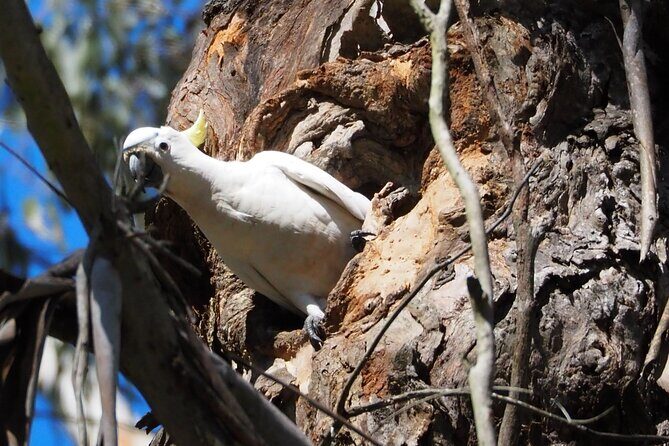 Sydney Wildlife Safari - Price and Overall Value