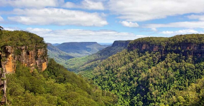 Sydney: Wildlife, Waterfalls and Wine Small Group Tour - Rainforest Hike and Waterfalls