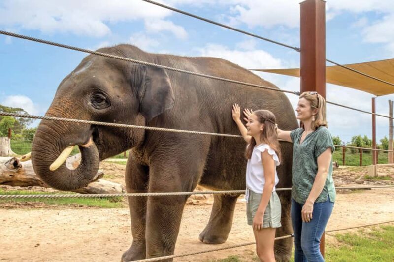 Sydney Zoo Admission Ticket - Visitor Experience and Practicalities