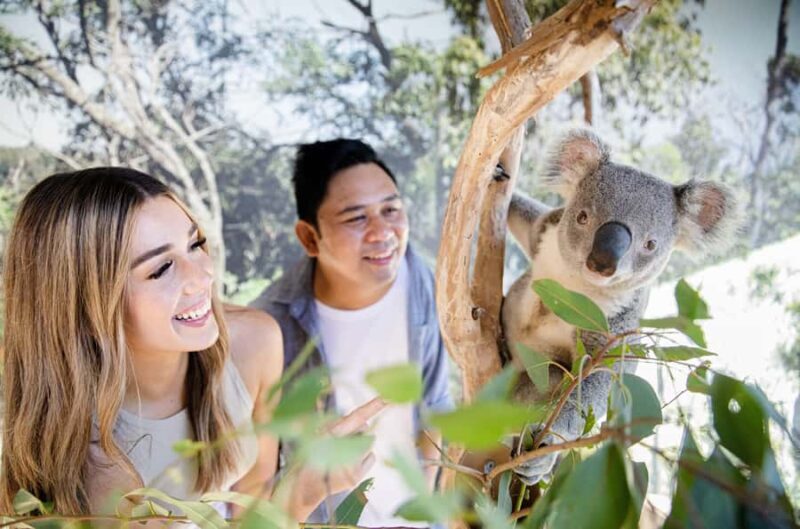 Sydney Zoo Admission Ticket - Cost and Value Analysis