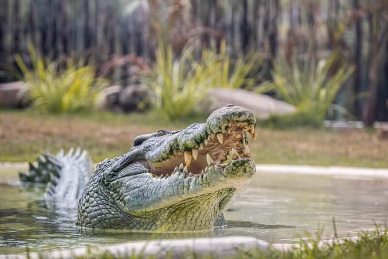 Sydney Zoo Admission Ticket - FAQ