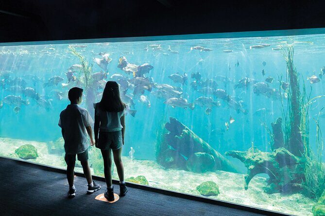 Sydney Zoo General Entry Admission Ticket - Final Thoughts