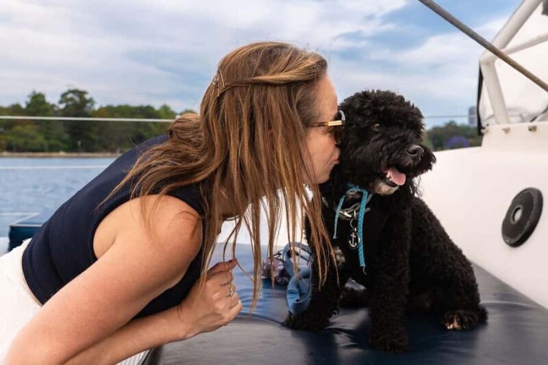 Sydney's 1st Dog Friendly Harbour Cruise: Dogs on Deck - Key Points