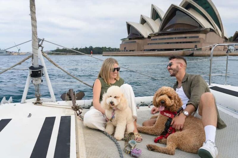 Sydney's 1st Dog Friendly Harbour Cruise: Dogs on Deck - The Sum Up