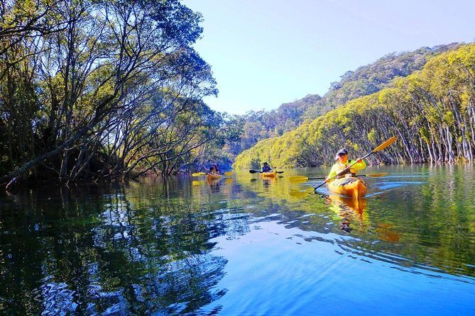 Sydney's Middle Harbour Sea Kayaking Eco Tour (Fully Guided) - An In-Depth Look at the Experience