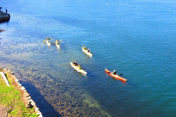 Sydney's Middle Harbour Sea Kayaking Eco Tour (Fully Guided) - What Past Participants Are Saying