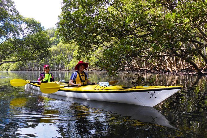 Sydney's Middle Harbour Sea Kayaking Eco Tour (Fully Guided) - Breakdown of the Itinerary