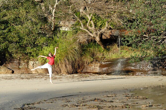 Sydney's Northern Beaches - Paradise in a city - Summary: Why Choose This Tour?