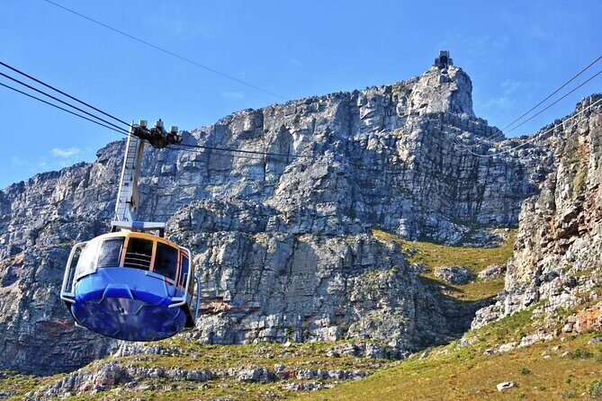 Table Mountain, Boulder's Penguins & Cape Point Private Tour from Cape Town - Introduction: Is This Tour Right for You?