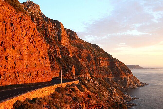 Table Mountain, Cape Point & Penguin Beach ENTRANCE INCLUDED - The Sum Up: Is It Worth It?