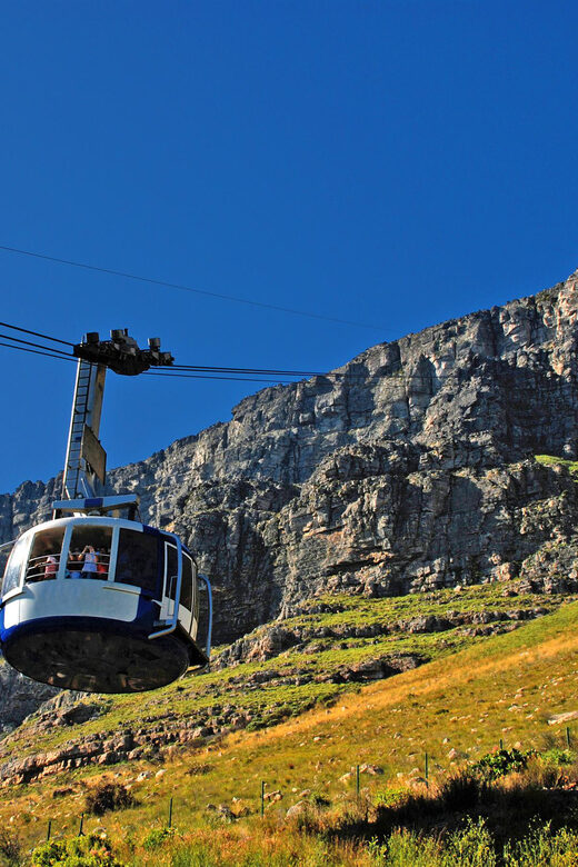 Table Mountain & Cape Town City Half Day Guided Tour - A Deep Dive into the Tour Experience