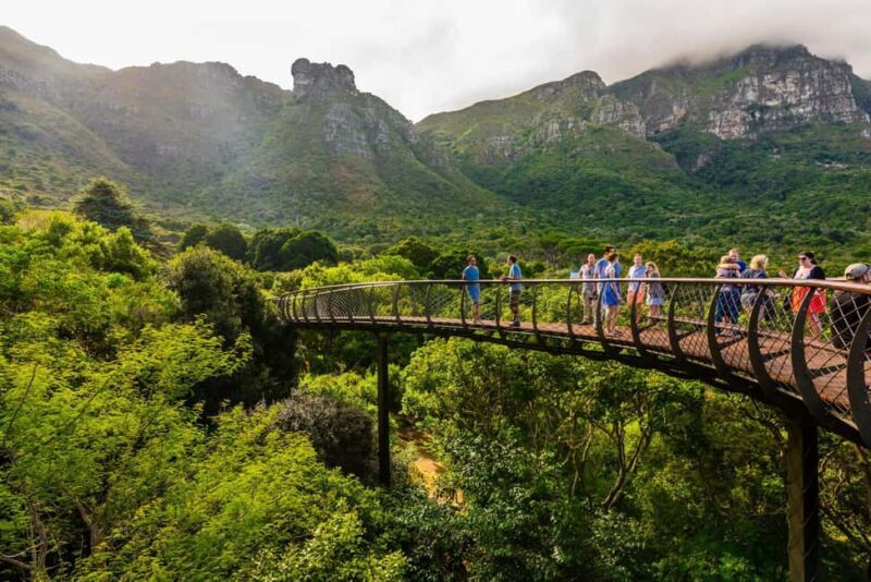 Table Mountain & Constantia Wine Tasting Full Day Tour - Discovering Cape Town from Above and Below