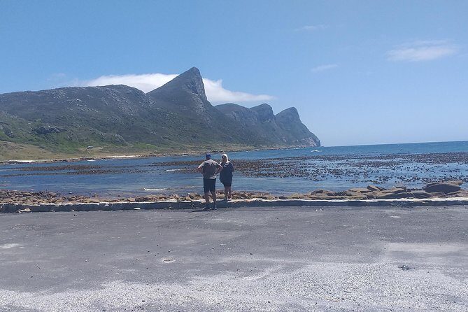 Table Mountain, Penguins, Cape of good hope and Stellenbosch tour - Who Will Enjoy This Tour?