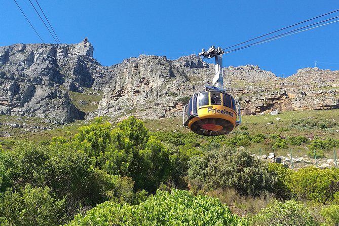Table Mountain, Penguins, Cape of good hope and Stellenbosch tour - The Sum Up