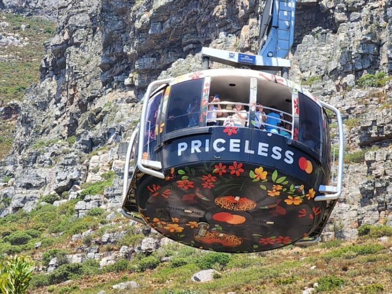 Table Mountain, Penguins & Cape of Good Hope Private Tour - Final Thoughts