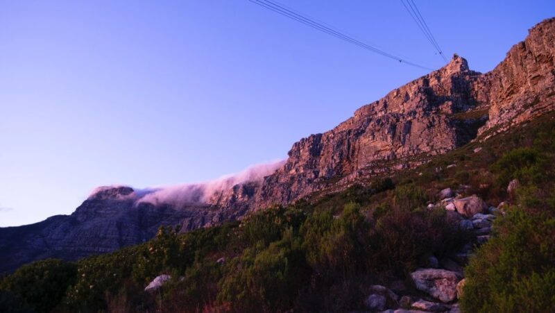 Table Mountain, Penguins & Cape of Good Hope Private Tour - FAQ