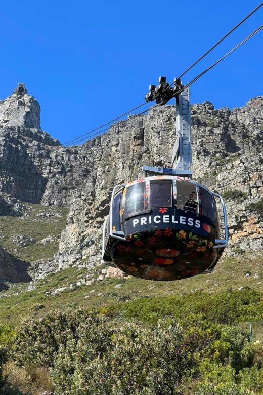 Table Mountain & Robben Island Tour with Ferry Tickets. - Key Points