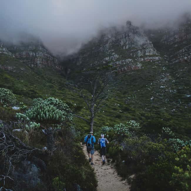 Table Mountain: Skeleton Gorge Hike - An In-Depth Look at the Skeleton Gorge Hike