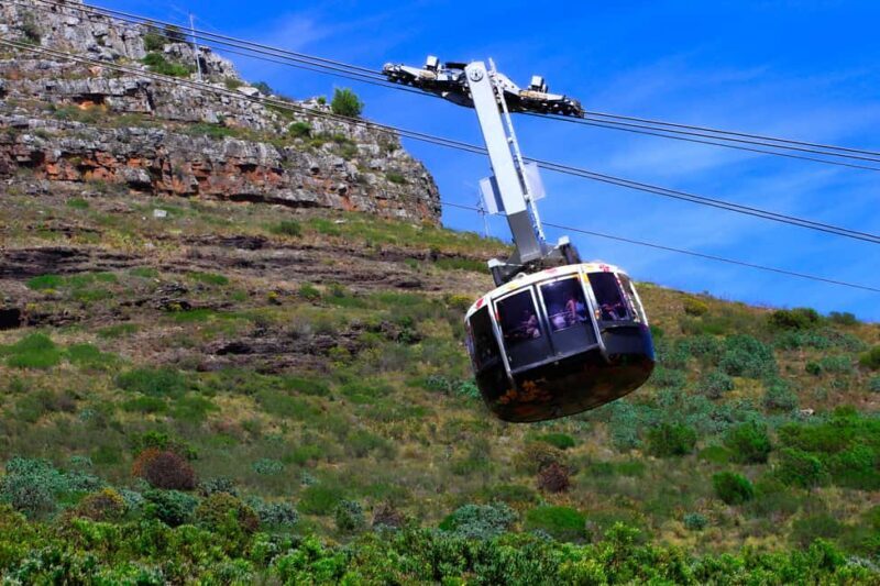 Table Mountain to Cape of Good Hope Penguin Private Tour - The Value of a Private Tour in Cape Town
