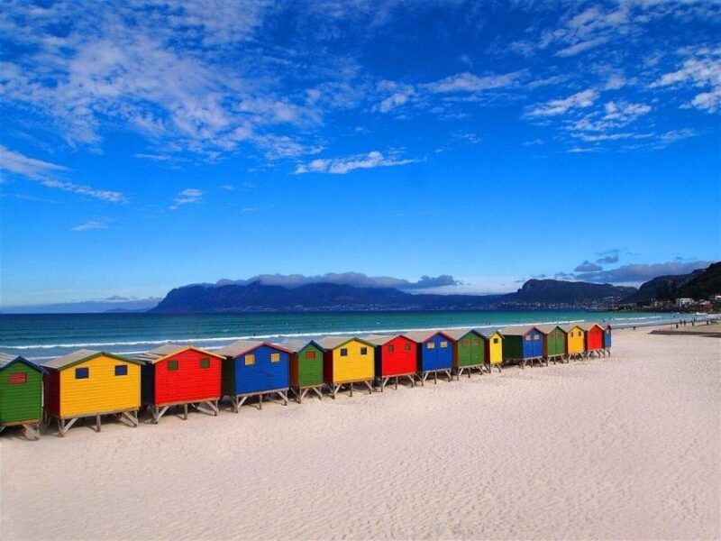 Table Mountain,Seals,Penguin,Cape of good hope,Bokaap , - An In-Depth Look at the Tour Experience