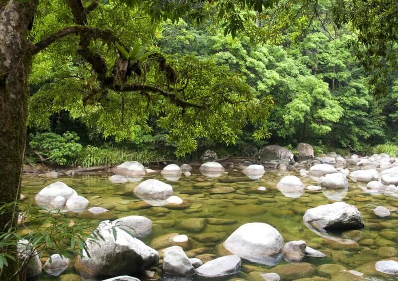 Tablelands Sights & Daintree Rainforest (2 Day Tours) - The Sum Up