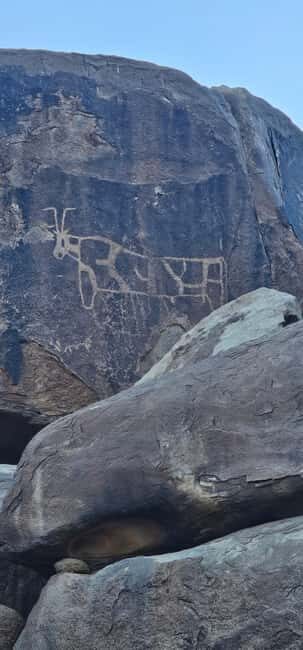 Tabuk: 2-Day Ancient Landmarks Tour with Lunch - Who Should Book This Tour?