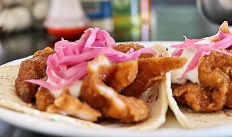 Taco Fest at Cozumel - The Sum Up