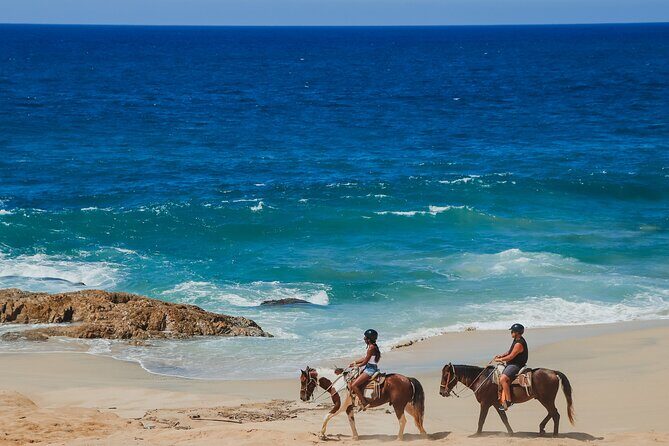 Tacos and Horseback Riding at Migriño beach - Key Points