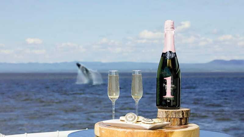 Tadoussac/Charlevoix: VIP Lounge OR UpperDeck Whale Watching - Frequently Asked Questions