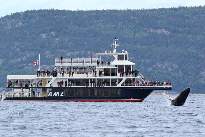 Tadoussac/Charlevoix: Whale Watching Tour - Key Points
