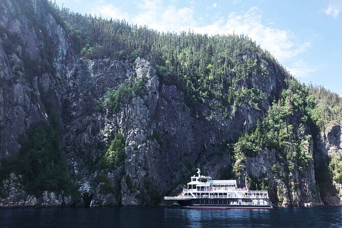 Tadoussac/Charlevoix: Whale Watching Tour - An In-Depth Look at the Tour: What to Expect