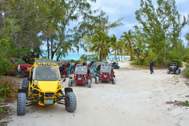 Taghazout: Guided Buggy Tour - The Sum Up