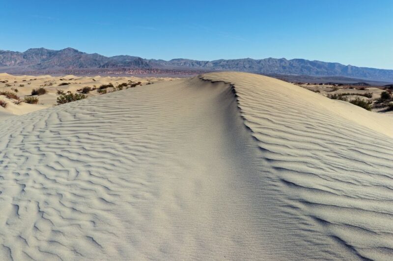 Taghazout: Paradise Valley and Sand Dunes Guided Tour - An In-Depth Look at the Tour Experience