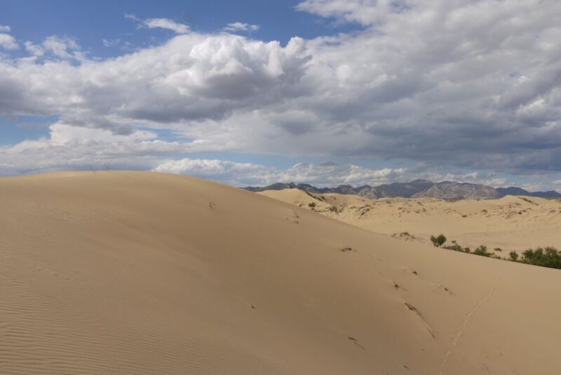 Taghazout: Sand Dunes Experience Guided Tour with Lunch - Key Points