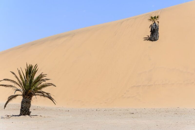 Taghazout: Sand Dunes Experience Guided Tour with Lunch - Who Will Love This Tour?