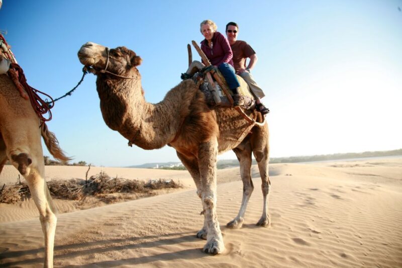 Taghazout Sunset Camel Ride - Taghazout Sunset Camel Ride: An Authentic Moroccan Experience