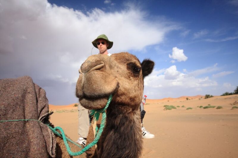 Taghazout Sunset Camel Ride - Key Points