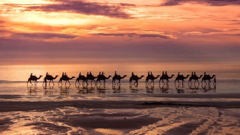 Taghazout Sunset Camel Ride - Who Should Consider This Tour?