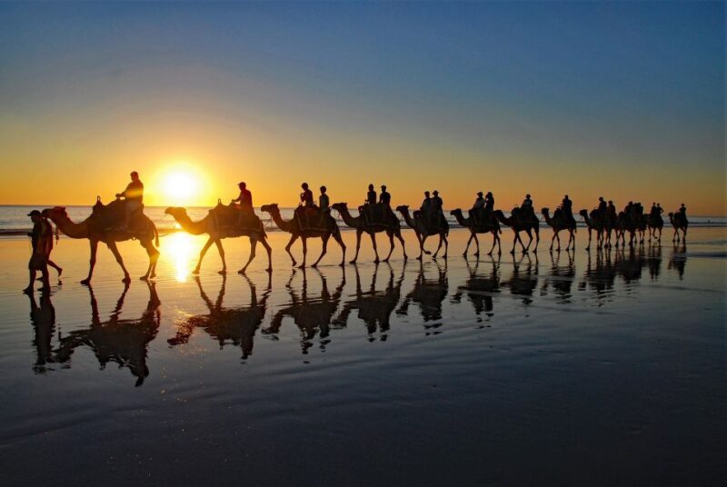 Taghazout Sunset Camel Ride - The Sum Up