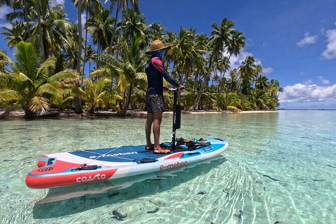 Tahaa Excursion in Electric Paddle Snorkeling Coral Garden - Key Points